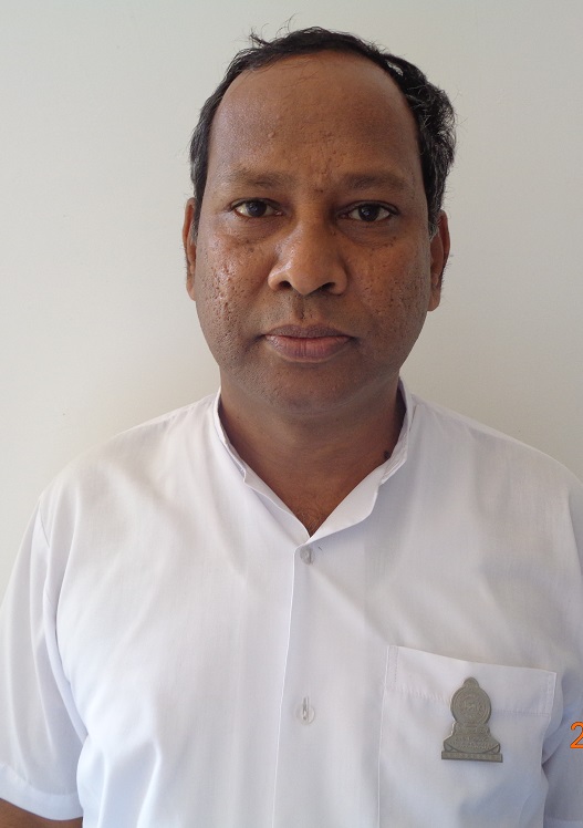 wladm harshana