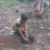 Environmental Week - 2019