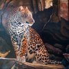 art_6