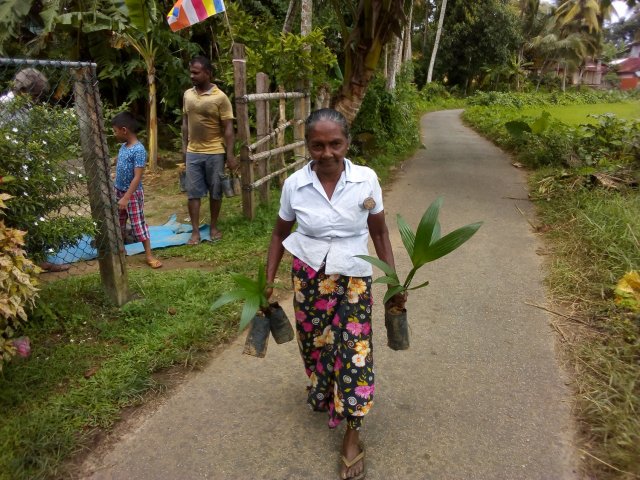Home gardening & Arecanut Planting Programme