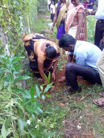 Home gardening & Arecanut Planting Programme