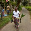 Home gardening & Arecanut Planting Programme